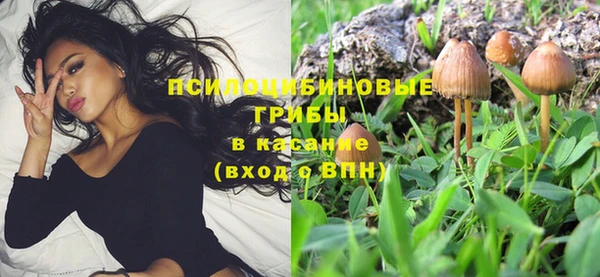 гашик Алексеевка